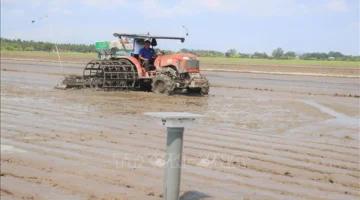 نتائج الممارسة الميدانية الأولية تكشف ملامح الأداء في تقييم المرحلة الحالية